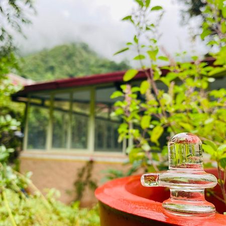 Shiv Shakti Yogpeeth Cottages Рішикеш Екстер'єр фото
