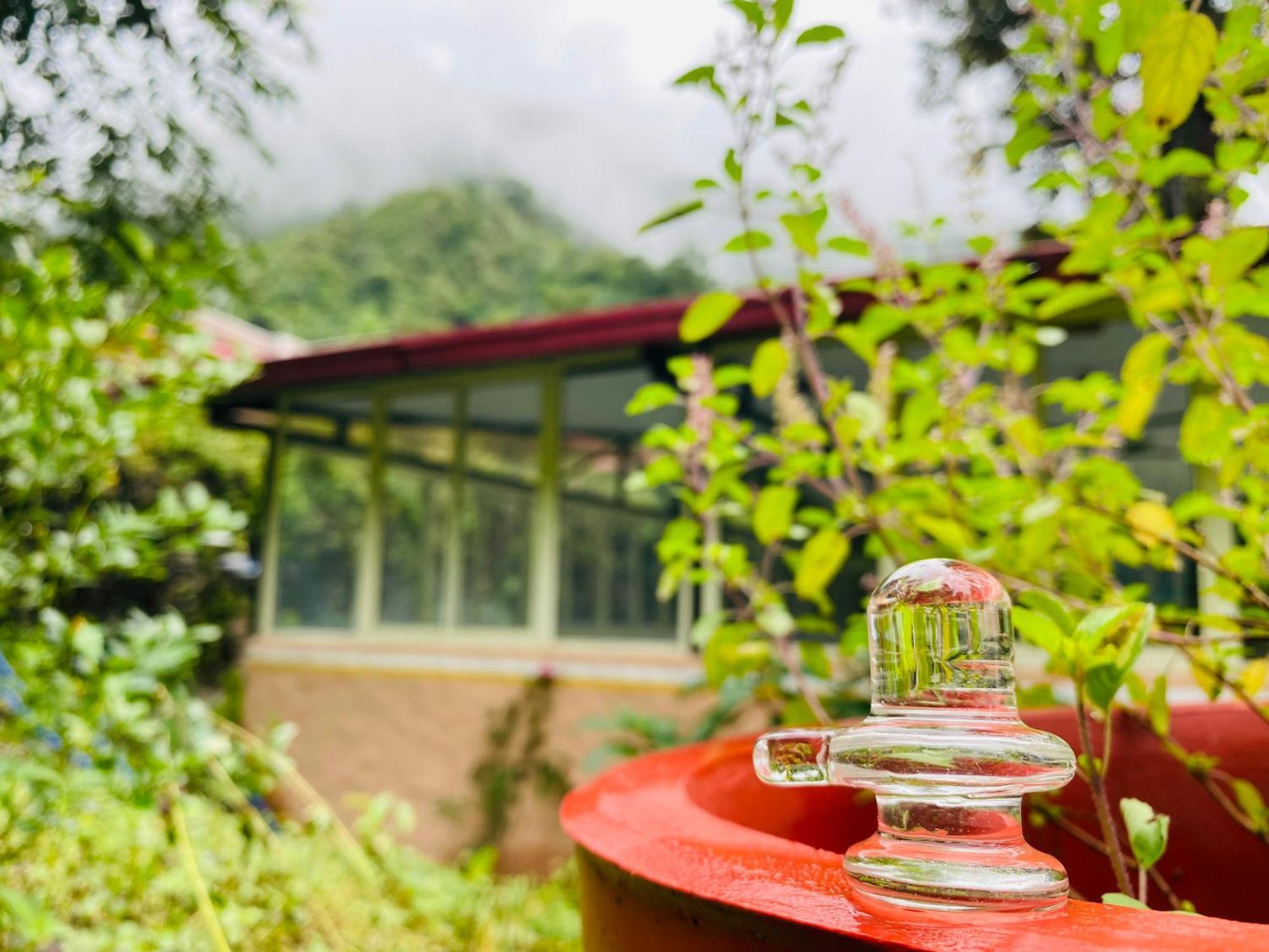 Shiv Shakti Yogpeeth Cottages Рішикеш Екстер'єр фото